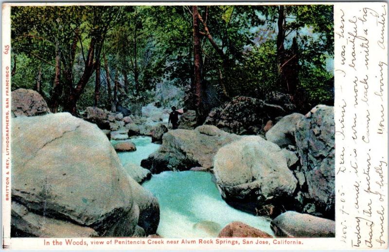 SAN JOSE, CA California  View on PENITENCIA  CREEK near ALUM ROCK 1905 Postcard