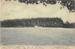 Loch Sheldrake New York The Pines across the Lake Antique Postcard J55165