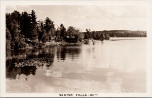 Nestor Falls Ontario ON Unused Real Photo Postcard F74