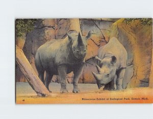 Postcard Rhinoceros Exhibit at Zoological Park, Detroit, Michigan