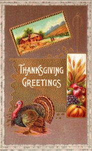 Thanksgiving Greetings With Turkey 1911