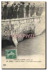 Old Postcard Bear Crue of the Seine January 1910 Paris Garden plants L & # wh...