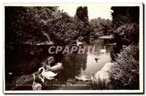 Old Postcard Montpellier Park esplanade of Swans
