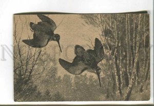 485328 RUSSIA A.F.P. bird hunting woodcock Vintage lithographic postcard