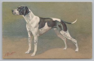 Animal~Artist Signed J Rivst~Proud Black & White Pointer~Spots~Vintage Postcard