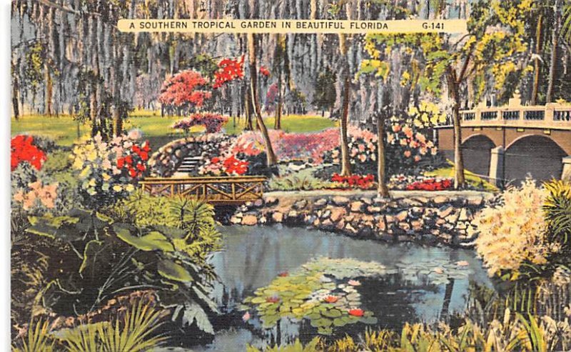 A Southern Tropical Garden in Beautiful Florida Mail Related 1938 