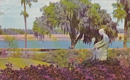 Middleton Place Gardens Charleston South Carolina 1970