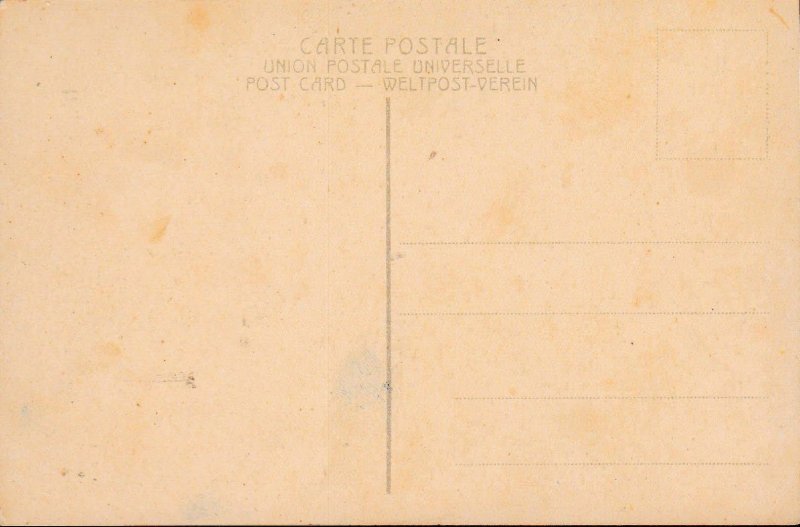 Palestine c1910 Jerusalem Camels and Chameliers B&W Mint View Card