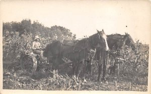 Farming Real Photo Unused light corner wear