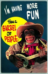 MONKEY WITH A DAMN BANJO! More Fun Than a Barrel Of People Chrome Postcard A12