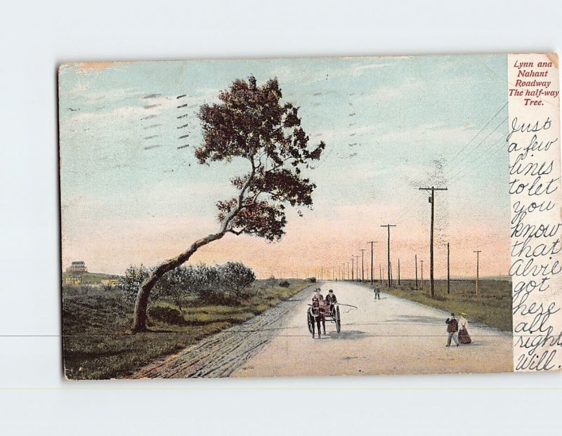 Postcard The half-way Tree, Lynn and Nahant Roadway, Massachusetts