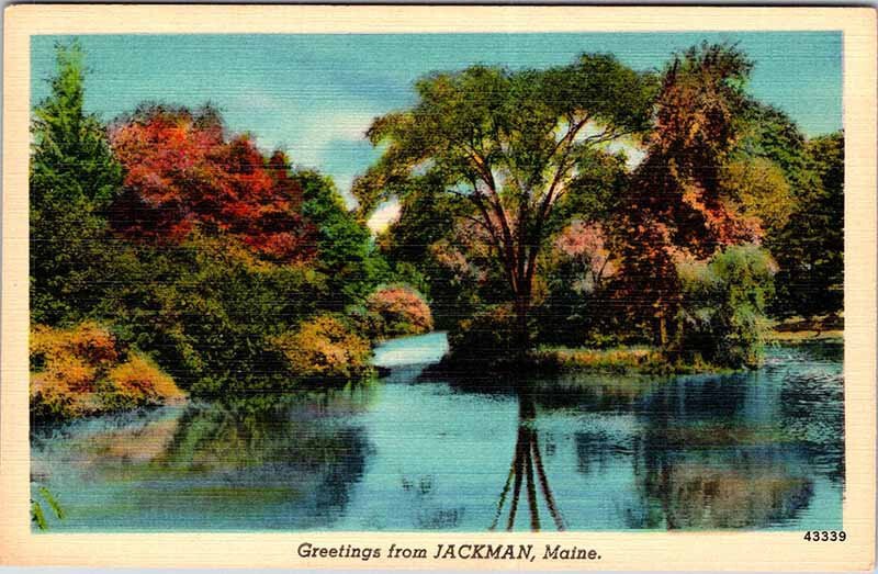 Postcard NATURE SCENE Jackman Maine ME AM6318