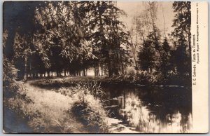 Scenic Picturesque Creek Wooded Area Trees Postcard