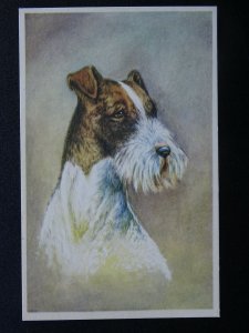 Dog Portrait WIRED HAIR FOX TERRIER - Old Postcard 374