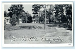 White Pine Cabins Orange Massachusetts Fort Wayne IN Globe Card Co. Postcard