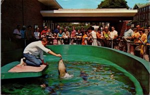 VINTAGE POSTCARD WOODS HOLE AQUARIUM AT WOODS HOLE CAPE COD MASSACHUSETTS c 1970