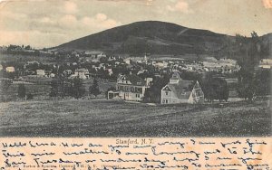 Bird's Eye View in Stamford, New York