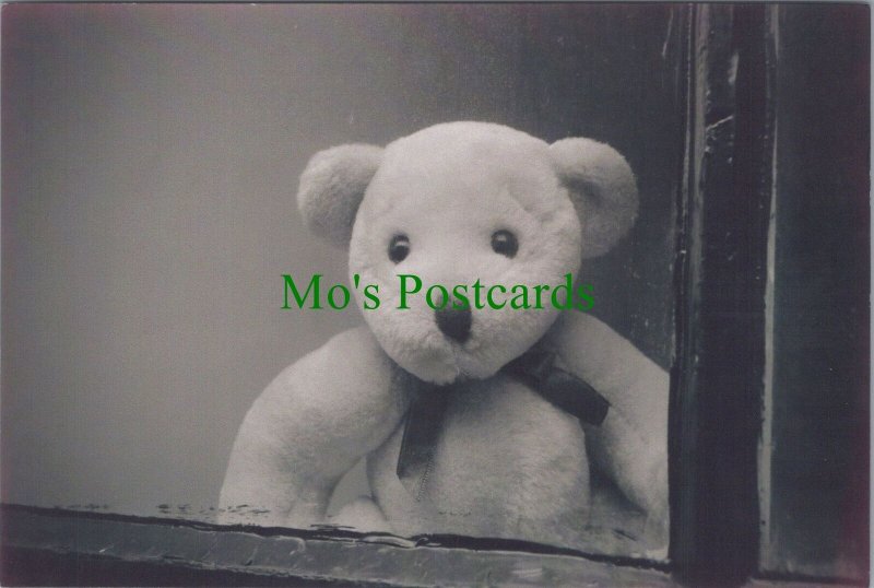 Children Postcard - Bears, Toys, Cute Teddy Bear at The Window RR20287