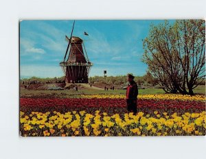 Postcard De Zwaan Windmill Holland Michigan USA