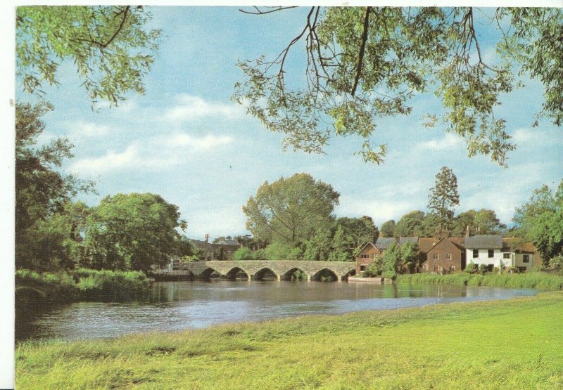 Hampshire Postcard - The River and Mediaeval Bridge - Fordingbridge   AB1307