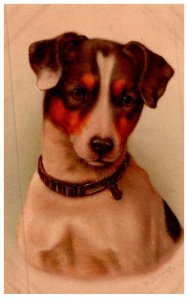 Dog  , artist signed W.Schwar