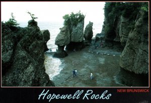 CONTINENTAL SIZE POSTCARD AERIAL VIEW OF THE HOPEWELL ROCKS AT NEW BRUNSWICK