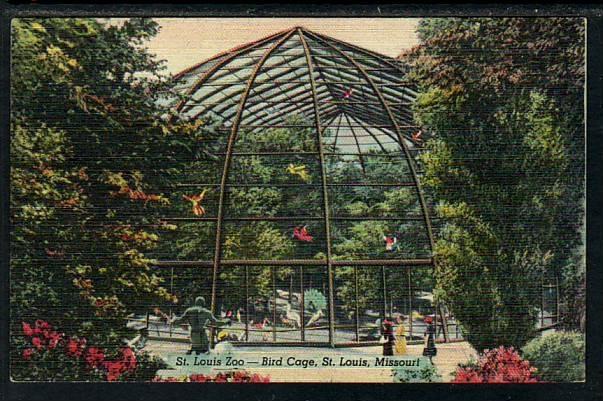 Bird Cage St Louis Zoo MO Post Card  5079