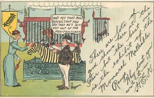 Postcard C-1910 Monarch Malleable advertising Zebra Comic humor 23-13545