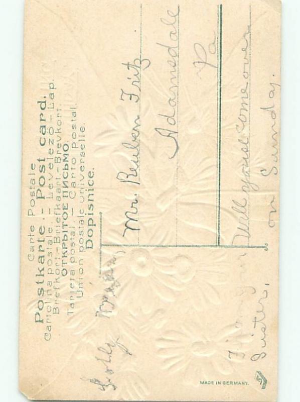 Divided-Back BEAUTIFUL FLOWERS SCENE Great Postcard AA2841