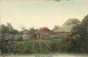 PC CPA SINGAPORE, FARMER HOUSE, Vintage Postcard (b18754)