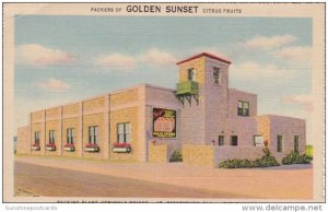 Florida St Petersburg Milne-O'Berry Golden Sunset Citrus Packing Plant S...