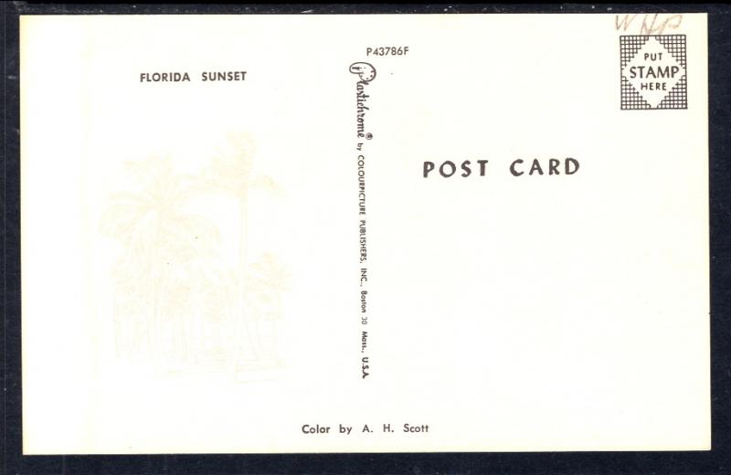 Florida Sunset BIN