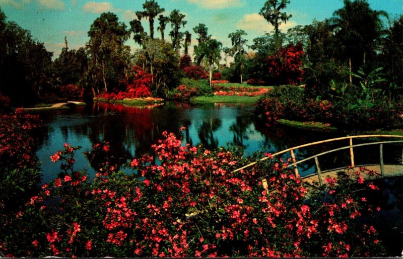 Florida Cypress Gardens Beautiful Flower Gardens 1970