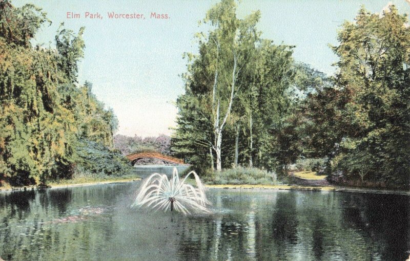 Postcard Elm Park Worcester Massachusetts