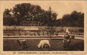 CPA Tesse la Madeleine Le Clos-Joli FRANCE (1054454)