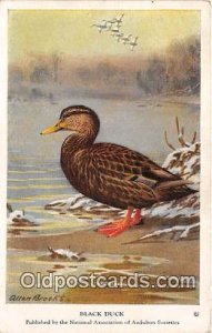 Black Duck Unused 