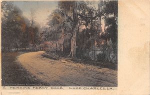 Lake Charles Louisiana Perkins Ferry Road, Hand Colored Vintage Postcard U12041