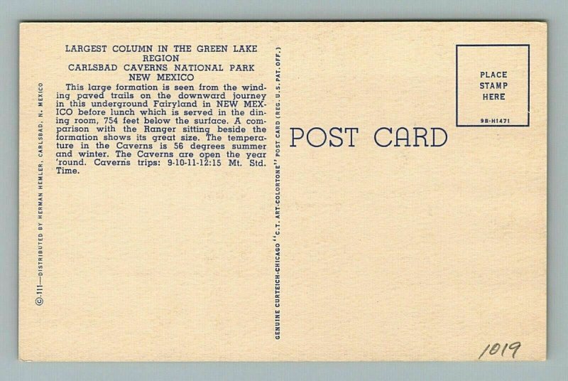 Column Green Lake Carlsbad Caverns National Park Cave New Mexico NM Postcard