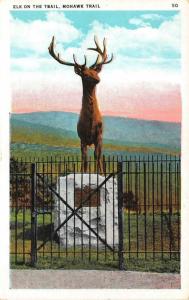 MA, Massachusetts   ELK STATUE On The MOHAWK TRAIL   c1920's Postcard