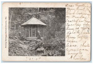 1907 Boiling Springs Man Standing Shade Forest View Garrett Maryland MD Postcard