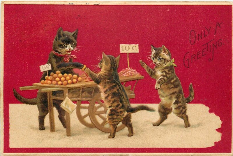 Helena Maguire Postcard 176. Anthropomorphic Cats buy from Street Vendor