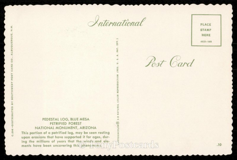 Petrified Forest National Park