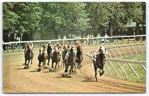 Racing Centennial Homestretch Field Of Thoroughbreds Saratoga New York Postcard