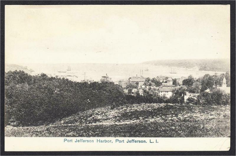 Port Jefferson LI NY Boats in Harbor from Land Postcard by Dickerson c.1908