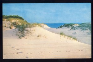 Beautiful Cape Cod Sand Dunes Postcard, Massachusetts/MA
