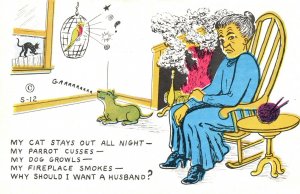 My Cat Stays Out All Night My Parrot Cusses My Dog Growls Fun Vintage Postcard