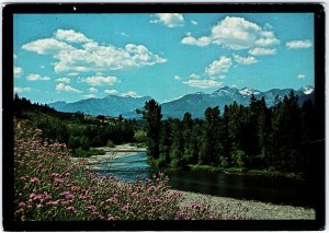 VINTAGE CONTINENTAL SIZE POSTCARD THE BITTERFOOT RANGE COMO PEAKS DARBY MONTANA