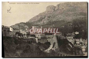 Old Postcard Monaco Prince's Palace The Dog Tete