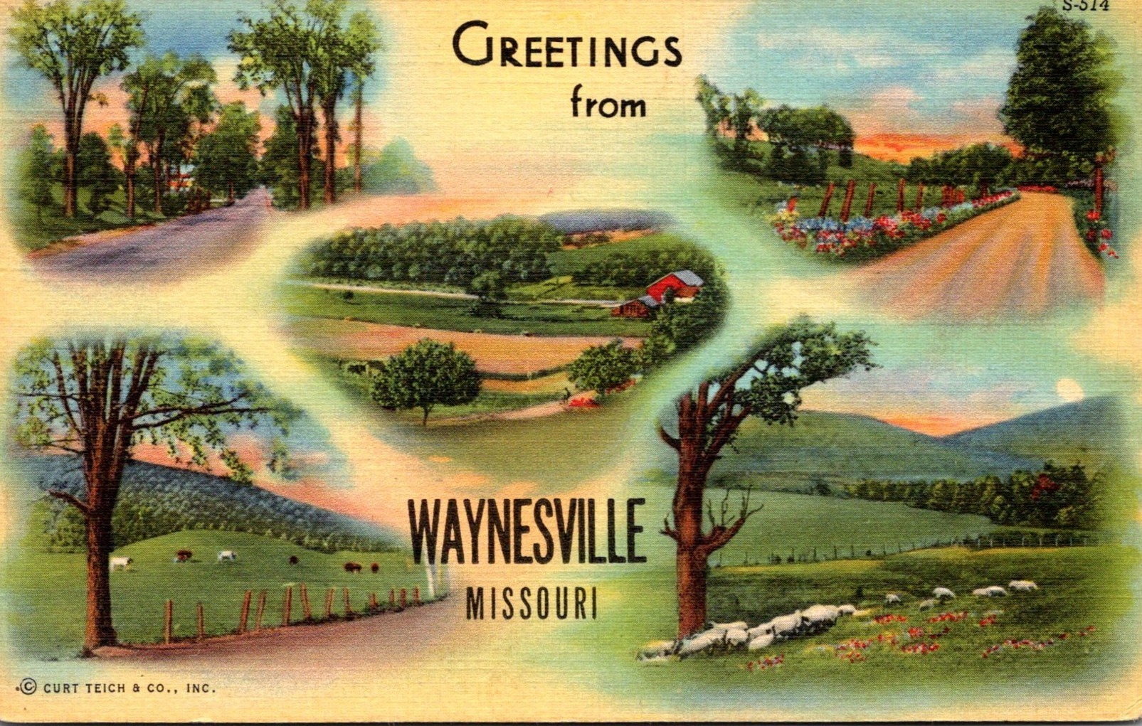 Missouri Greetings From Waynesville Multi View Curteich United States