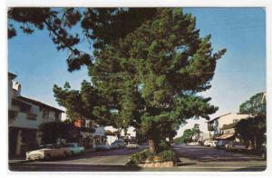 Ocean Avenue Cars Carmel California 1960s postcard